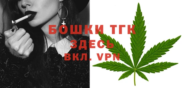 СК Волосово