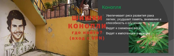 СК Волосово