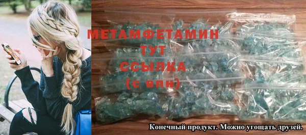 ГАЛЛЮЦИНОГЕННЫЕ ГРИБЫ Вяземский