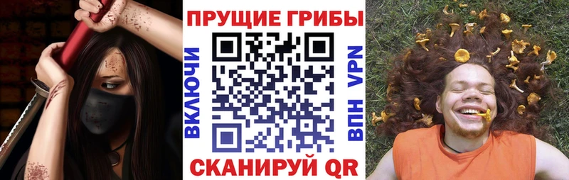Псилоцибиновые грибы MAGIC MUSHROOMS  МЕГА вход  Луга 